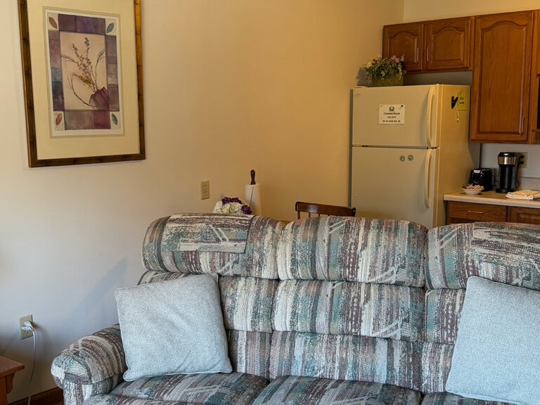 Couch with kitchen in the background.